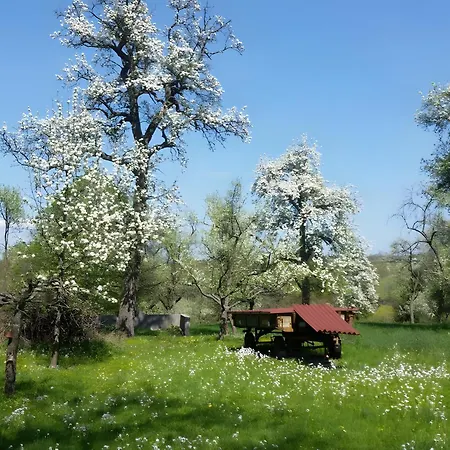 Schuler-haus بيت للعطل *