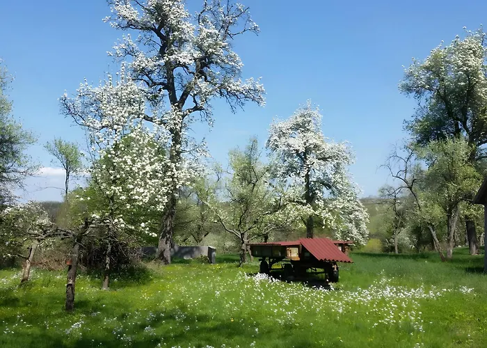 Schuler-haus Σπίτι διακοπών *